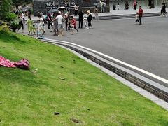 -枫香湖儿童公园