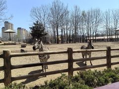 -大连森林动物园