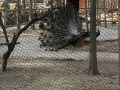 -昆山城市生态森林公园