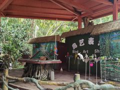 -西双版纳原始森林公园