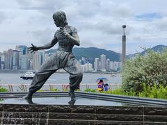 -星光大道