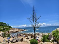 -广东惠东海龟国家级自然保护区