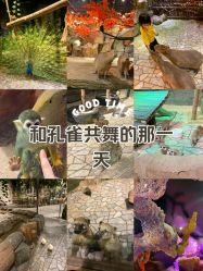 -未来动物城动物主题公园(大悦城店)