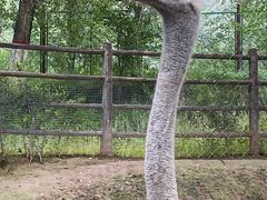 -青藏高原野生动物园