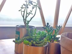 -Green Option(官舍店)