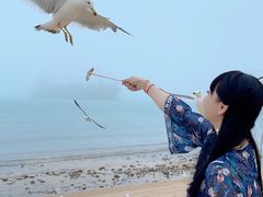 -海驴岛(荣成市)