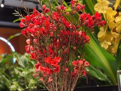 -半秋山西餐厅(巴南万达广场店)