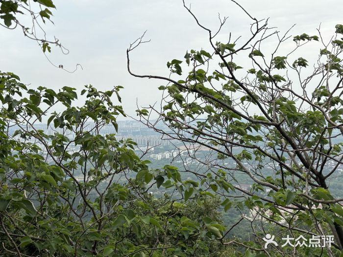 穹窿山景区图片