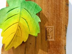 -茅兰沟国家森林公园