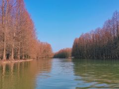 -上海海湾国家森林公园