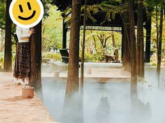 -东湖落雁景区