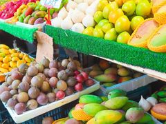 -港华水果街(港华广场店)