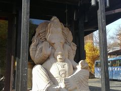 -Local泰莲庭(虹鳟鱼店)
