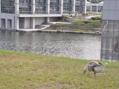 -厦门国家会计学院