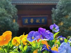 -灵隐飞来峰景区