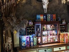 -雪灵魔法世界SHELLY’S TAROT(大良桂畔里店)