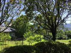 -福建鲤鱼洲酒店