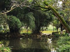 -桂湖森林公园