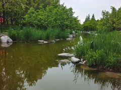 -大望京公园