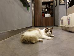 -咖法森林·咖啡  酒吧(天河店)