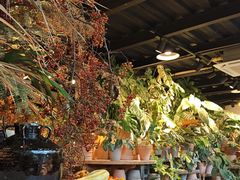 -自由生长植物工作室(深港花卉中心店)