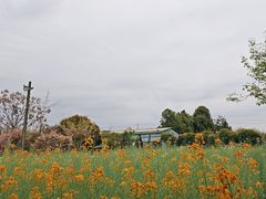 -洪湖家庭农场·团建·露营·会议