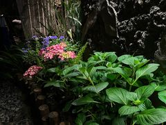 -都氏家DUSJOY(翡翠城店)