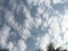 -大地农庄(逢沙大道店)