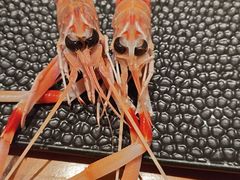 -月龍吟(朝龙汇店)