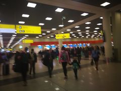 -谢列梅捷沃国际机场