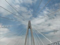 -东河市场
