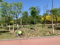 -天津东丽湖风景区