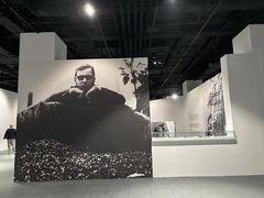 -凤凰中心