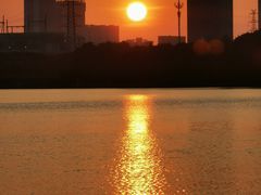 -海珠湖公园