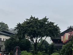 -泸州老窖景区