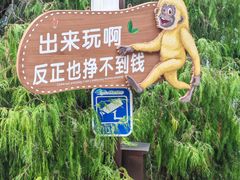 -白帝城·瞿塘峡景区