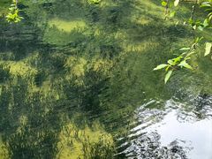 -靖西鹅泉风景区