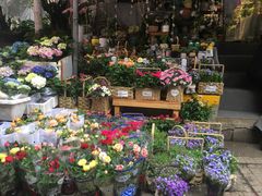 -循礼门鲜花花市(武汉循礼门店)