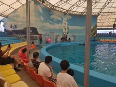 -尼莫海豚馆