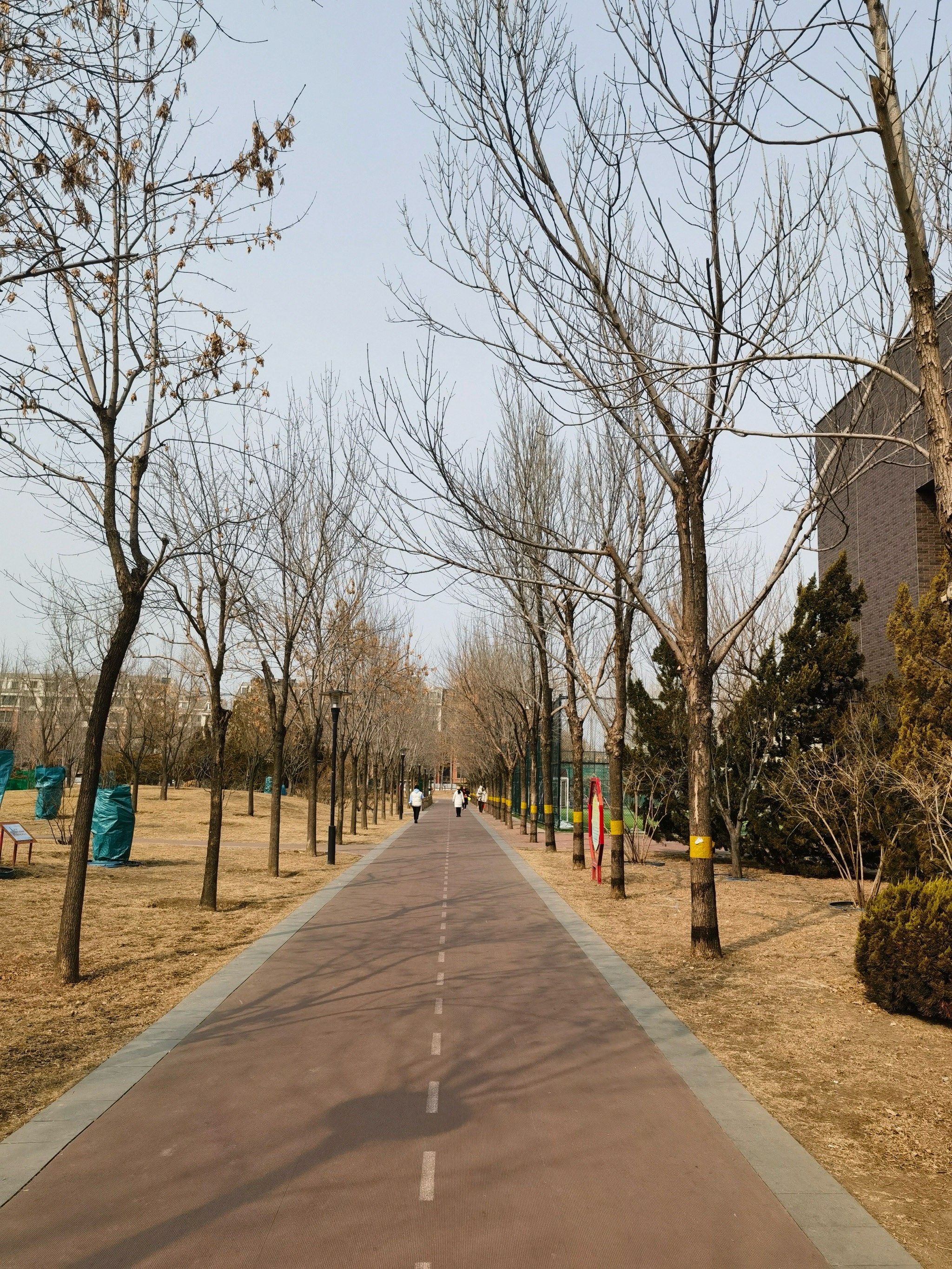 城市公园图鉴|富民体育公园超酷炫