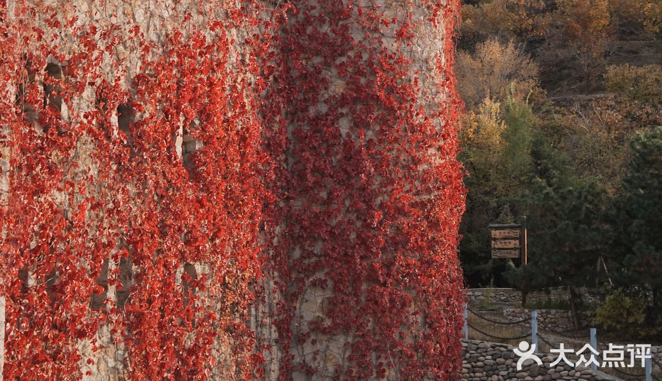 北京的秋天🍂误入神秘庄园 
