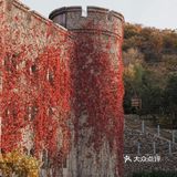 北京的秋天🍂误入神秘庄园 