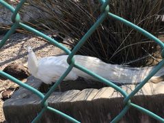 -南京金牛湖风景区