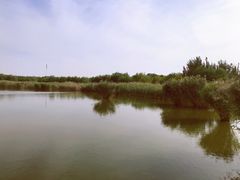 -西青郊野公园