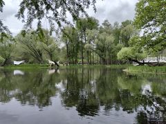 -上海共青森林公园