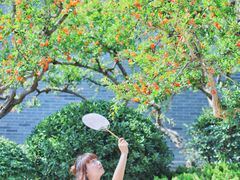 -西安华清御汤酒店