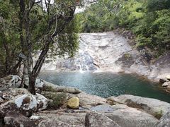 -海南霸王岭国家森林公园