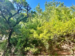 -草庵摩尼教遗址公园