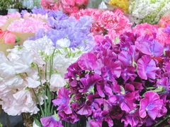 -双季花艺园艺市场(浦东店)