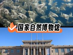 -国家自然博物馆